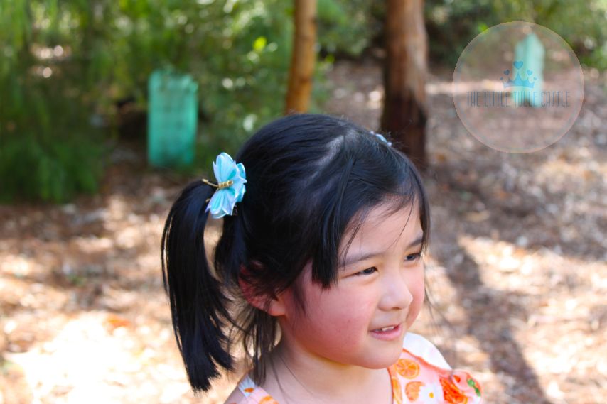 Shimmery Butterfly Hair Clip - 2 Pack